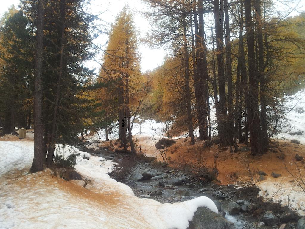 Chalet Rin da Pemont Livigno Bagian luar foto